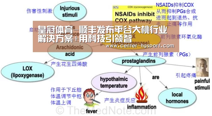 皇冠体育-顺丰发布平谷大桃行业解决方案+用科技引领智(图1) 皇冠体育官网