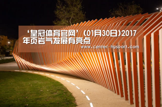 ‘皇冠体育官网’(01月30日)2017年页岩气发展有亮点(图3) 皇冠体育官网