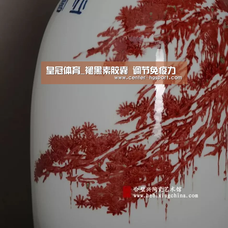 皇冠体育_褪黑素胶囊 调节免疫力(图2) 皇冠入口